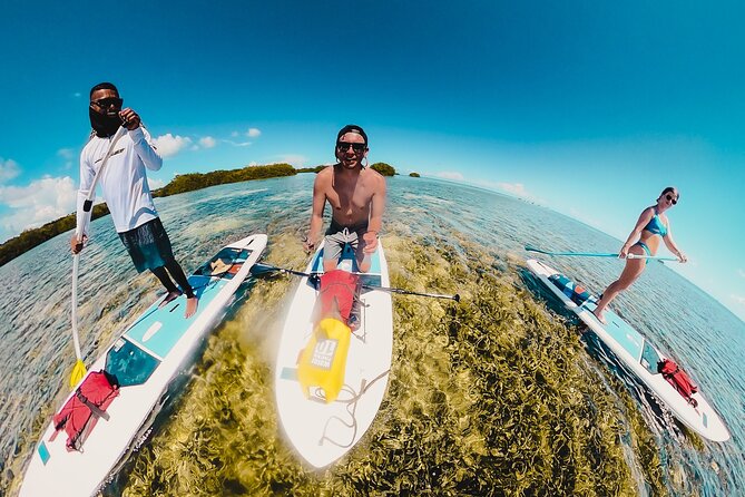 Miami Beach Paddleboard Rental with Instruction - Important practical details before you go