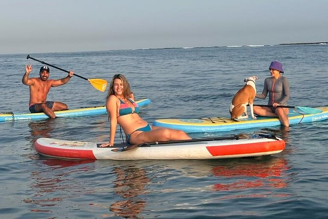 Miami Beach Paddleboard Rental with Instruction - A short lesson before you paddle away