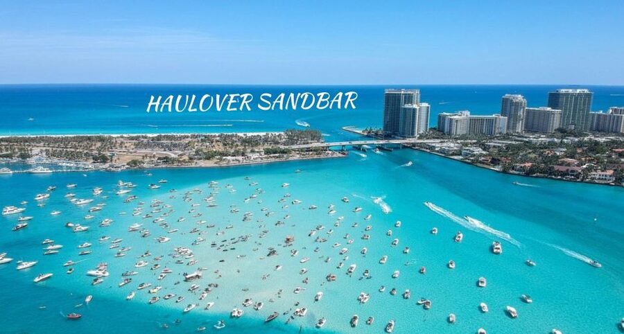 Miami Beach: Spectacular Sandbar & Skyline Boat Tour - The Captain and the Feel of a Private Outing