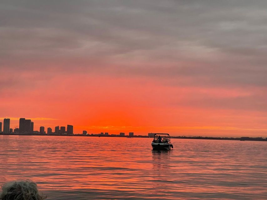 Miami Beach: Spectacular Sandbar & Skyline Boat Tour - The Miami Beach Shoreline and Biscayne Bay
