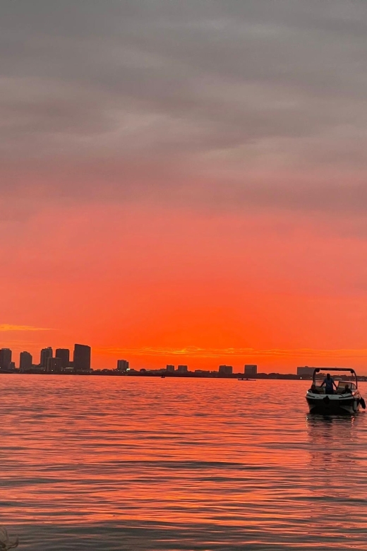 Miami Beach: Spectacular Sandbar & Skyline Boat Tour - Sunset and Night Cruises