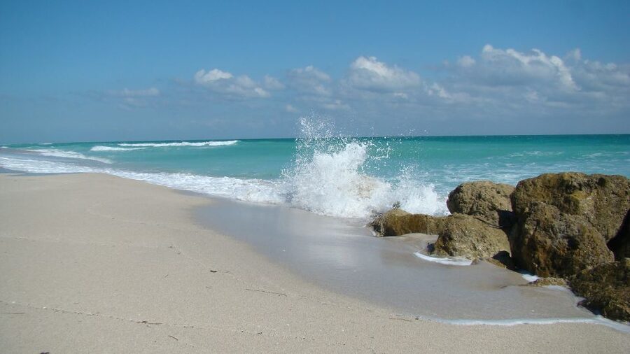 Miami: Beach Wedding or Renewal of Vows - Timing, weather, and practical preparation