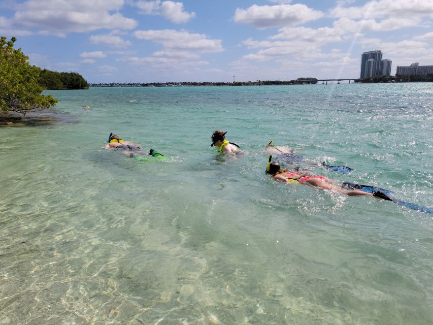 Miami: Beginner-Friendly Island Snorkeling by SUP or Kayak - How the guides shape the experience