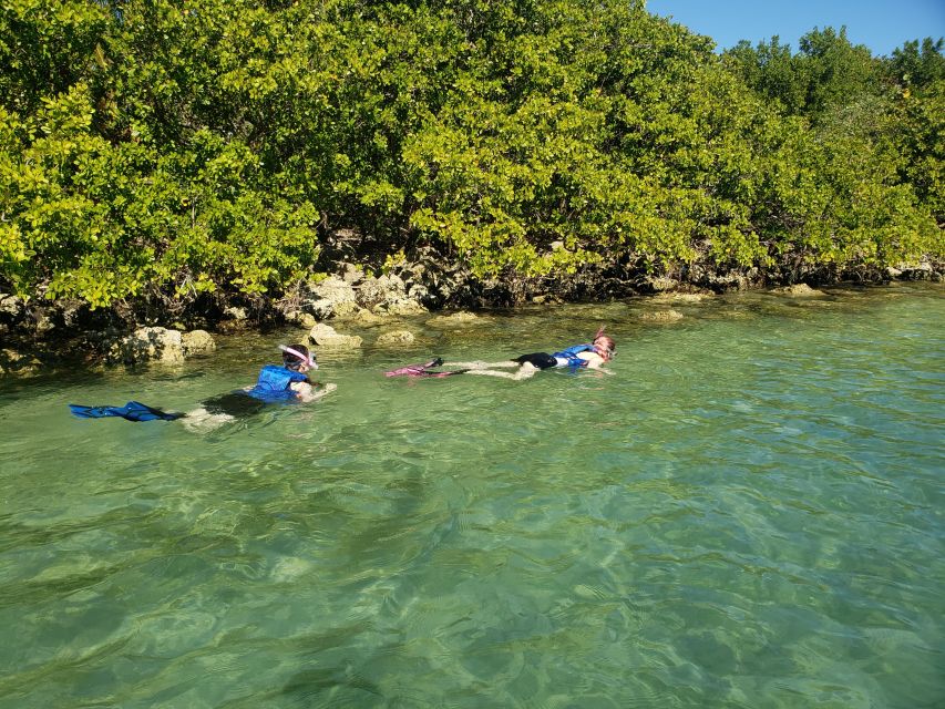 Miami: Beginner-Friendly Island Snorkeling by SUP or Kayak - A small adventure with a busy itinerary
