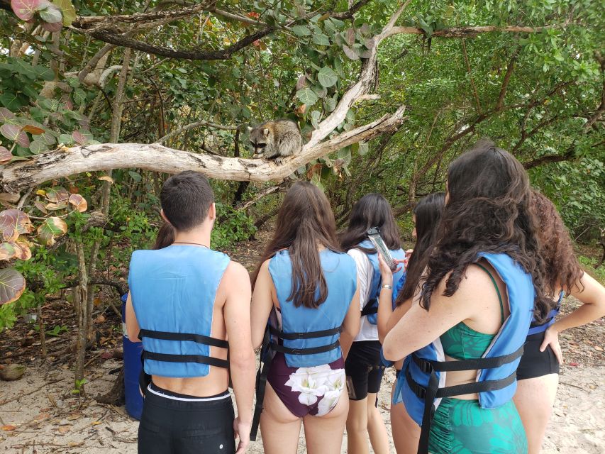 Miami: Beginner-Friendly Island Snorkeling by SUP or Kayak - Learning to paddle before the wildlife hunt