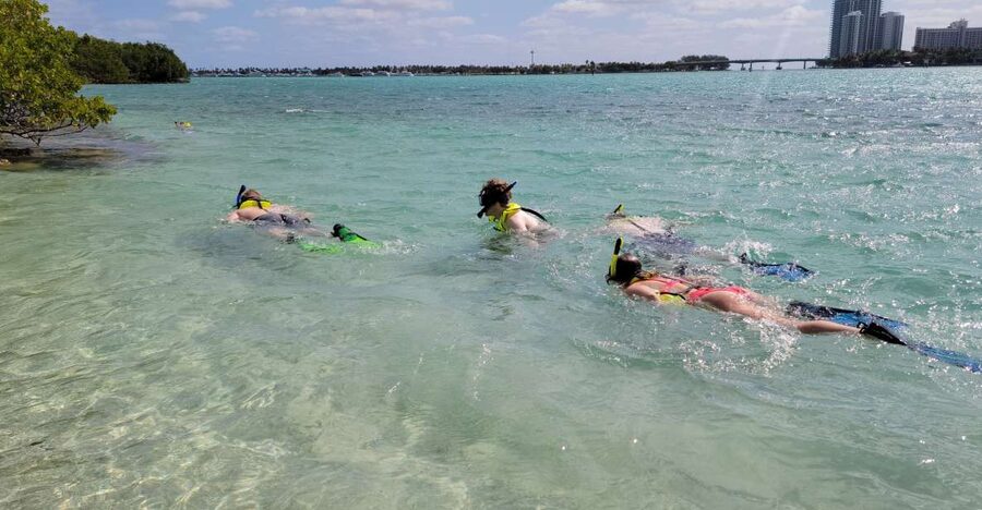 Miami: Beginner-Friendly Island Snorkeling by SUP or Kayak - The raccoons and other island animals