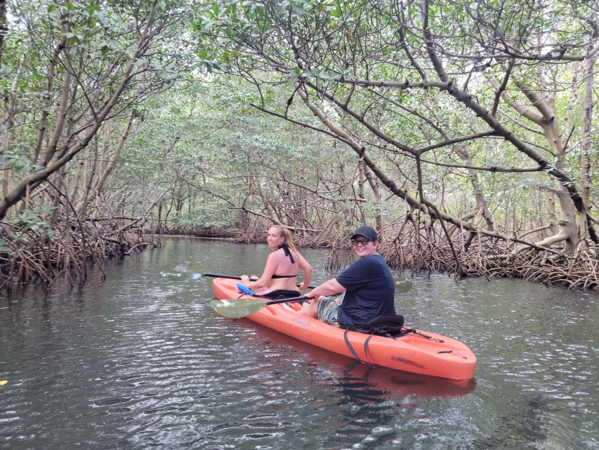 Miami: Beginner-Friendly Island Snorkeling by SUP or Kayak - Starting at Bill Bird Marina