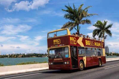 Miami Best Of Combo: Everglades, Bay Cruise, & Open-top Bus Tour