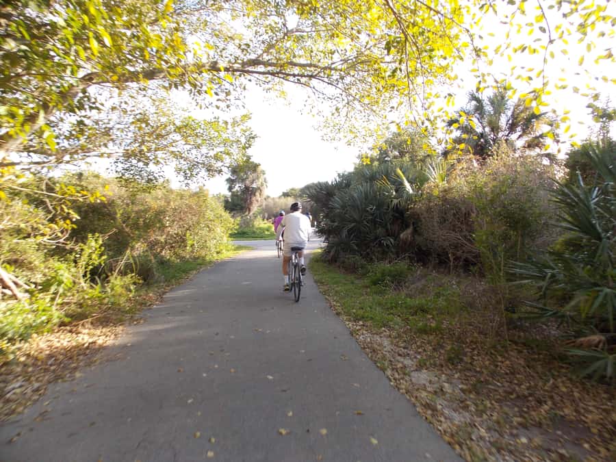 Miami: Bike Rental - Ocean views along Lummus Park’s Promenade