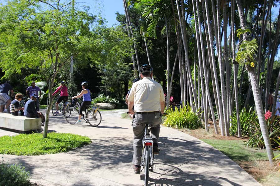 Miami: Bike Rental - Free culture at the Holocaust Memorial and Botanical Gardens
