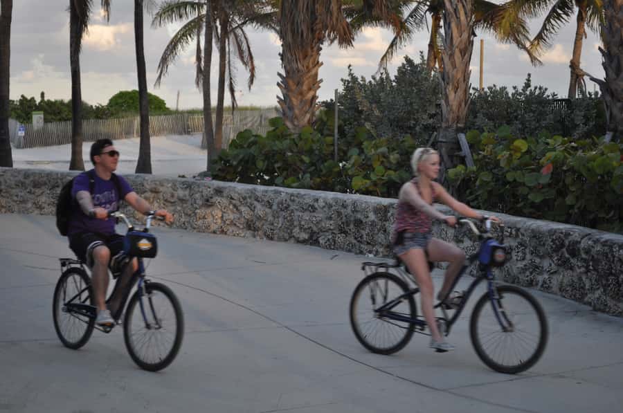 Miami: Bike Rental - How to plan the full day