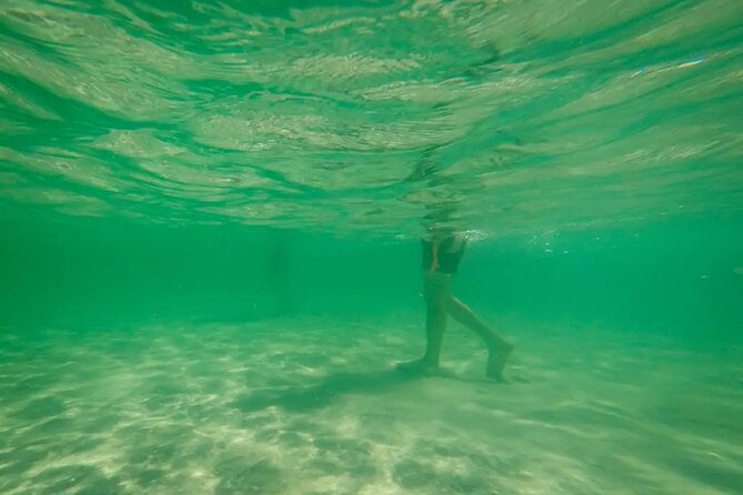 Miami Biscayne Bay Boat Tour with Sandbar Experience. - Indian Creek Island and Billionaire’s Bunker