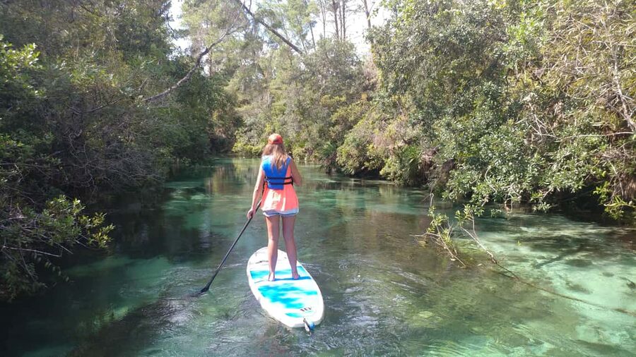 Miami: Biscayne Bay Ultimate Boat Tour with Kayak Experience - From Venetian Marina into open Biscayne Bay