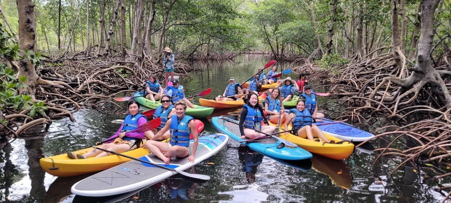 Miami: Biscayne Bay Ultimate Boat Tour with Kayak Experience - Who should book this Biscayne Bay outing?