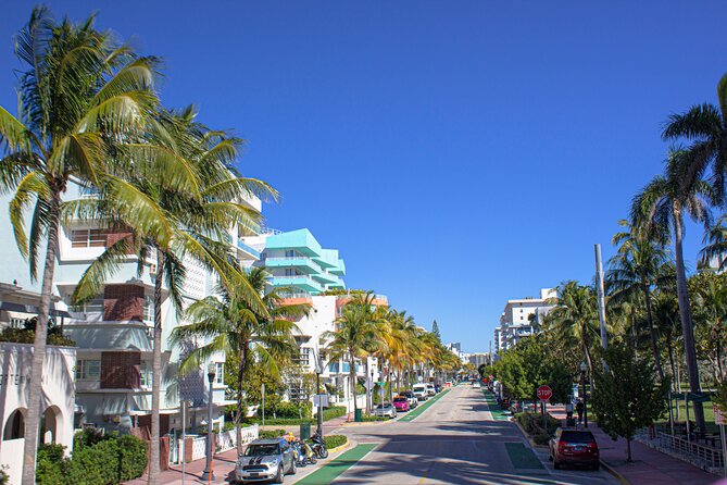 Miami: Bus & Boat Ultimate Sightseeing Combo Tour - Thirty minutes among the murals at Wynwood Walls