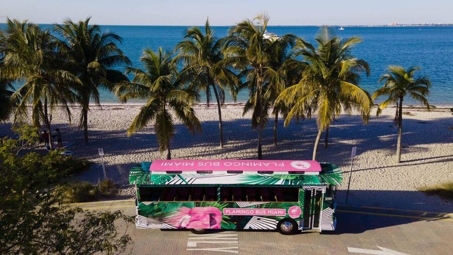 Miami Bus Tour Flamingo Open Air Trolley Bus Tours City Tour - The Miami Design District by bus