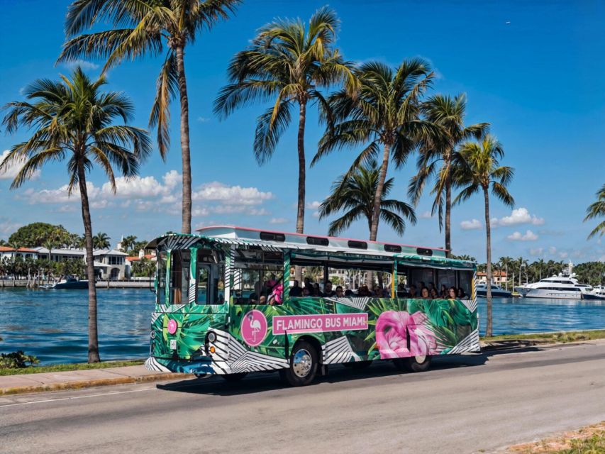 Miami Bus Tour Flamingo Open Air Trolley Bus Tours City Tour - What $59 buys you