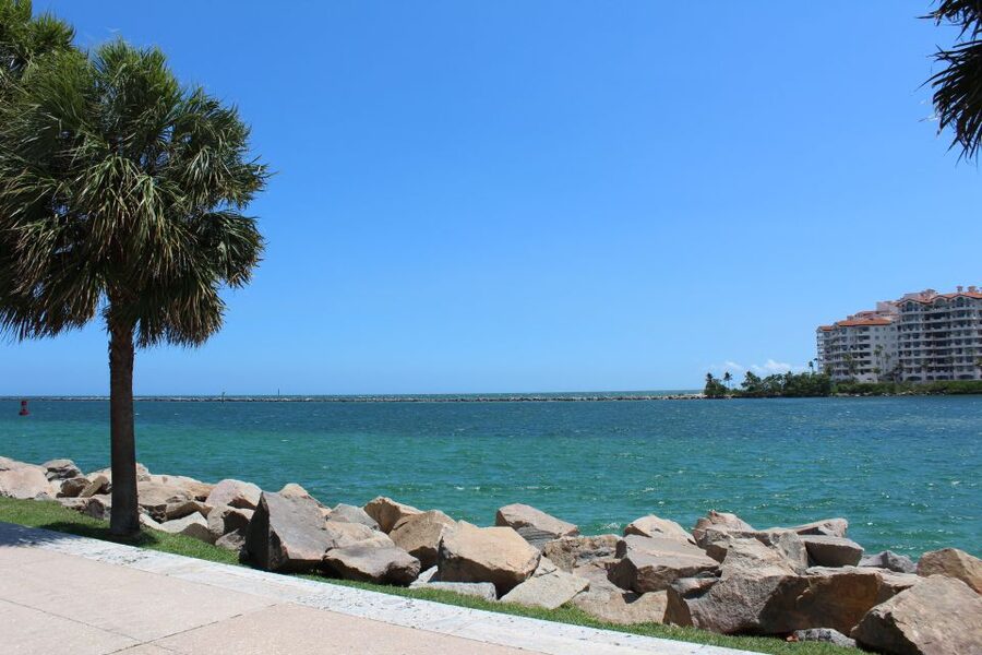 Miami: City Bus Tour with Downtown or Miami Beach Pickup - What $115 Gets You