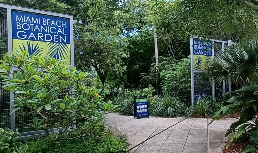Miami: City Tour & Cruise of Biscayne Bay - Key points before you book