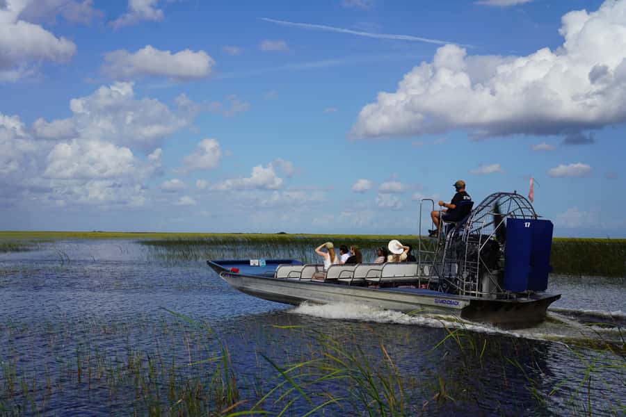 Miami: City Tour with Optional Cruise and Everglades Entry - Why this tour works for a first look at Miami