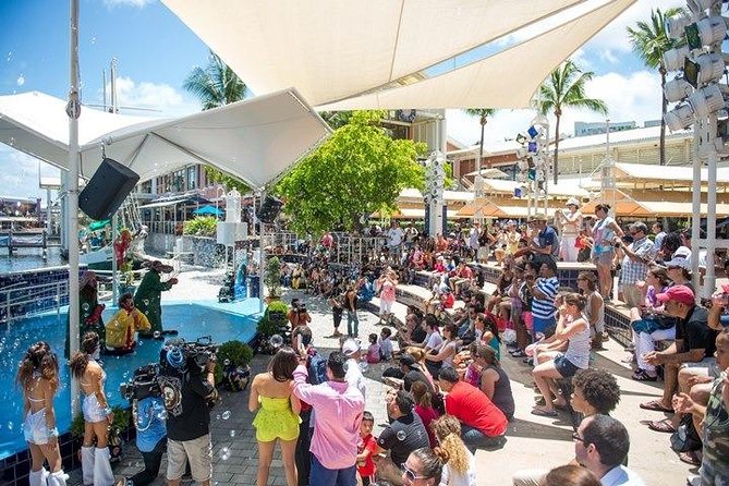 Miami Combo Tour (Everglades Tour + Boat Tour) - Biscayne Bay and Millionaire’s Row