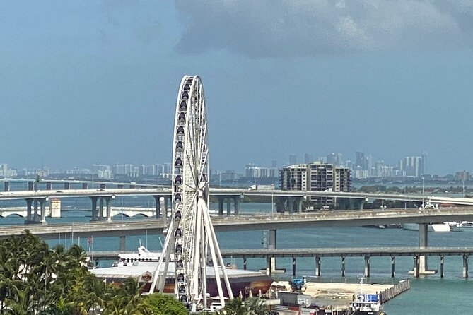 Miami Cruise of Celebrity Homes and Biscayne Bay - Bilingual narration and the guide factor