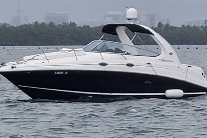 Miami Day or Night /Celebration - Key points to know before you book
