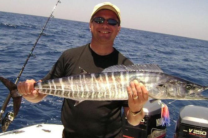 Miami Deep Sea Fishing Charters - Gear, licenses, shade, and the catch