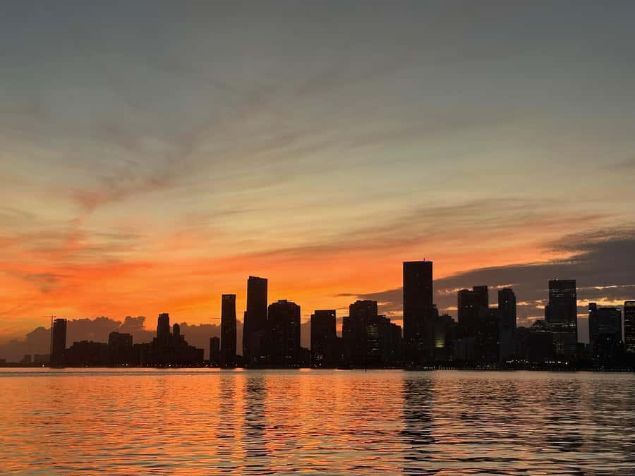 Miami Evening Boat Past Millionaire Homes on Water Taxi - Who will enjoy this evening cruise