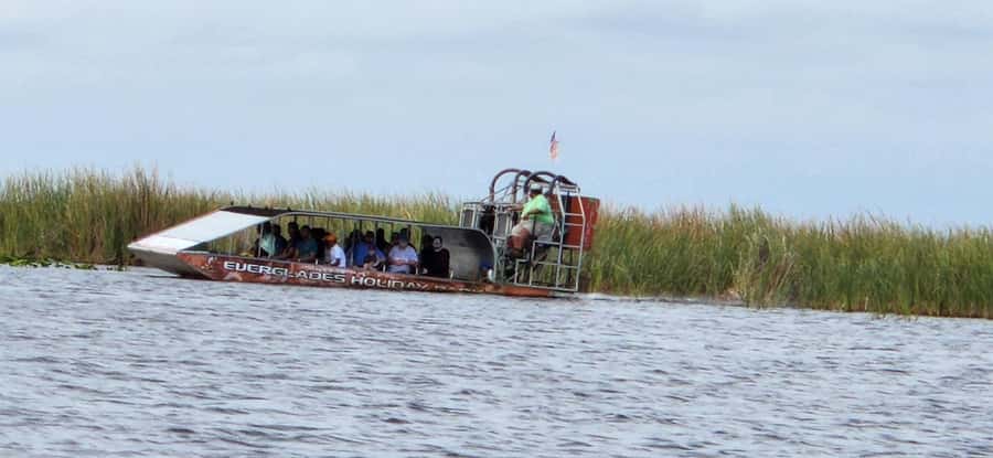 Miami: Everglades Airboat, Gator Encounter & Bus Transfer - Why this Everglades outing works as a half-day trip
