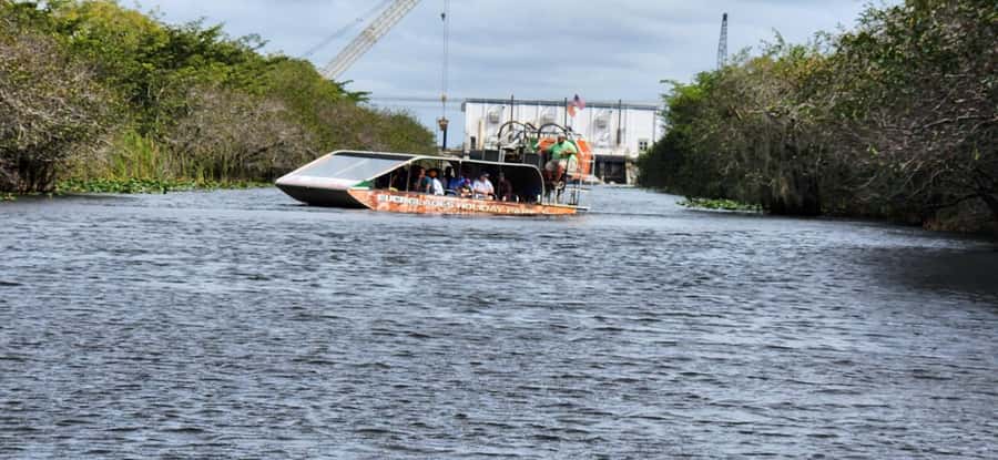 Miami: Everglades Airboat, Gator Encounter & Bus Transfer - What the 45-minute airboat ride is really like