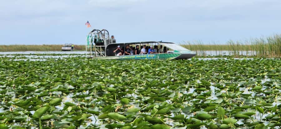 Miami: Everglades Airboat, Gator Encounter & Bus Transfer - Who should book this experience?