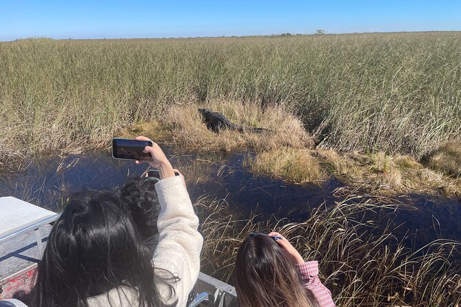 Miami: Everglades Airboat incl. Group Photo - What happens on the covered airboat