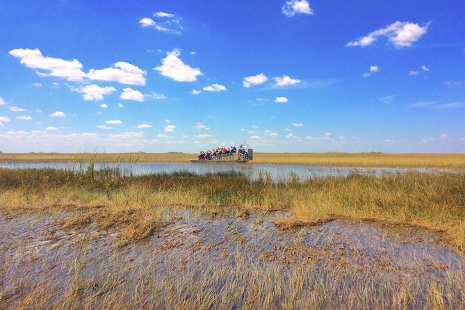 Miami: Everglades Airboat incl. Group Photo - The wildlife talk and alligator photo stop