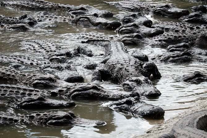 Miami: Everglades Airboat incl. Group Photo - Who will enjoy this outing most