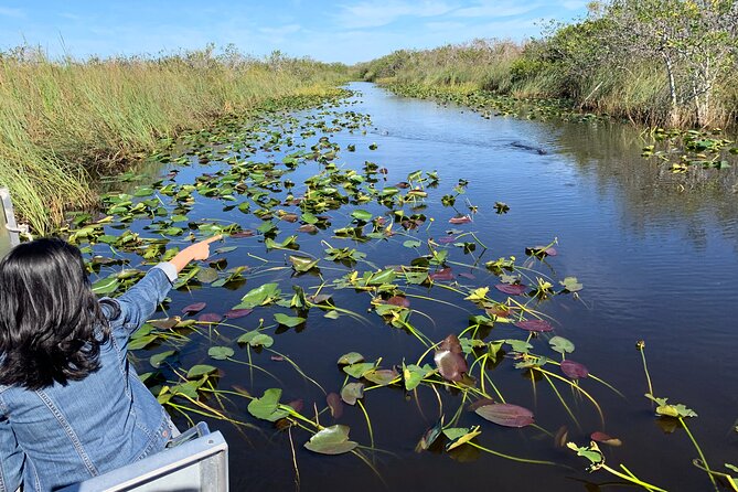 Miami: Everglades Airboat incl. Group Photo - The Everglades stop and park facilities