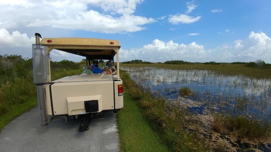 Miami: Everglades Airboat Ride and Tram Tour - Key details to know before booking