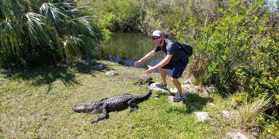 Miami: Everglades Airboat Ride and Tram Tour - The lookout tower gives you the big picture