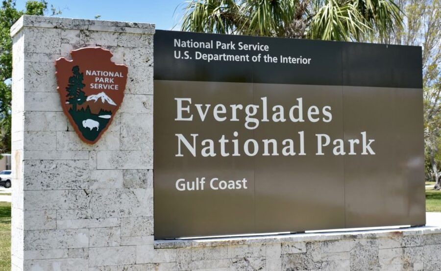 Miami: Everglades Airboat Ride and Tram Tour - Fruit, cold drinks, and a useful mid-tour break