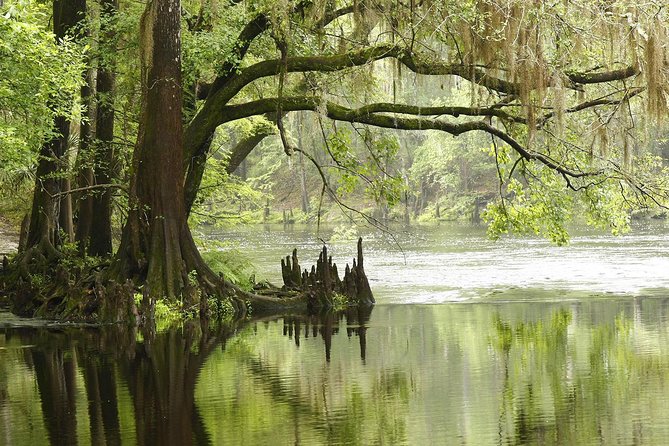 MIAMI: Everglades Airboat, Wildlife Gator Show and Pick-up - Who will enjoy this Miami Everglades trip?