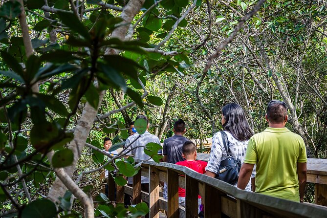 MIAMI: Everglades Airboat, Wildlife Gator Show and Pick-up - Practical ways to improve your day
