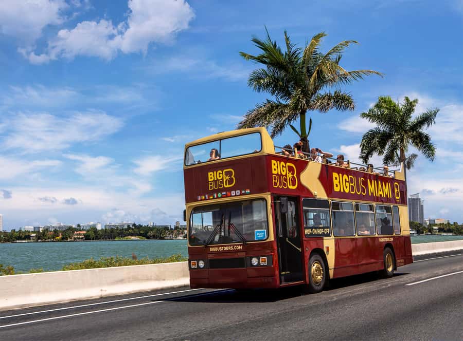 Miami: Everglades Experience, Bay Cruise & Open-Top Bus Tour - One long day or three easier outings?
