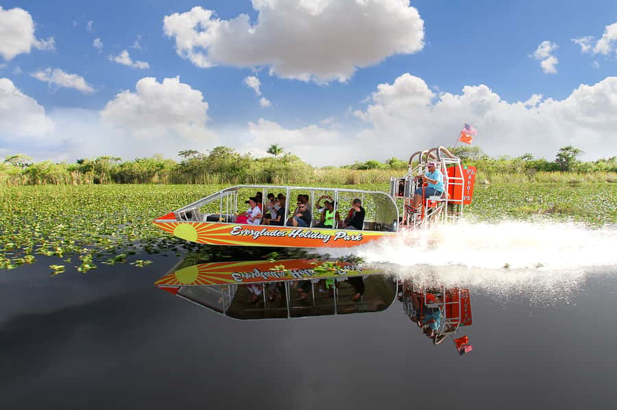 Miami: Everglades Experience, Bay Cruise & Open-Top Bus Tour - Who will get the most from this package?