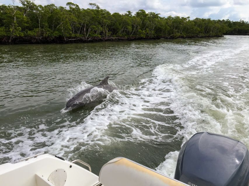 Miami: Everglades Full-Day Tour with 2 Boat Trips and Lunch - The airboat ride across the freshwater marsh