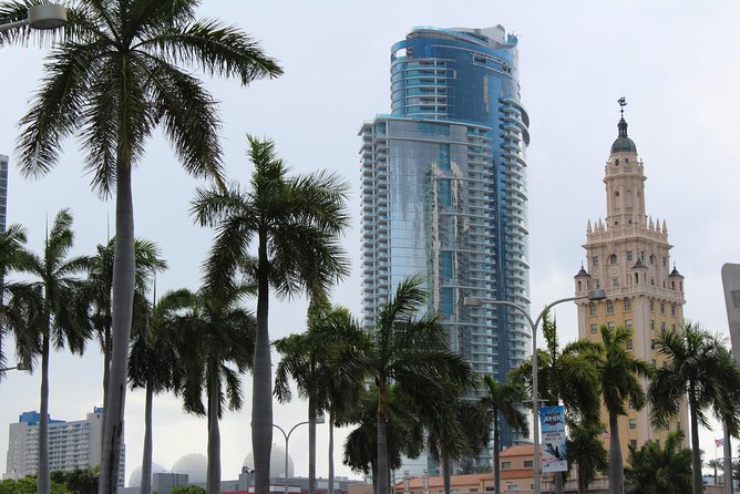 Miami + Everglades in One Perfect Day–small group & pick up - Downtown Miami, Brickell, and Miami Circle