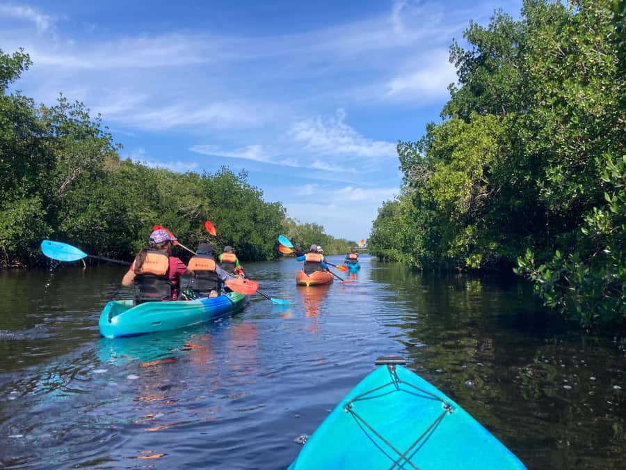 Miami: Everglades National Park Hiking and Kayaking Day Trip - Key points to know before you book