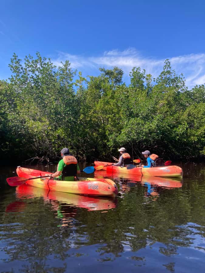 Miami: Everglades National Park Hiking and Kayaking Day Trip - Why this Everglades day trip feels different