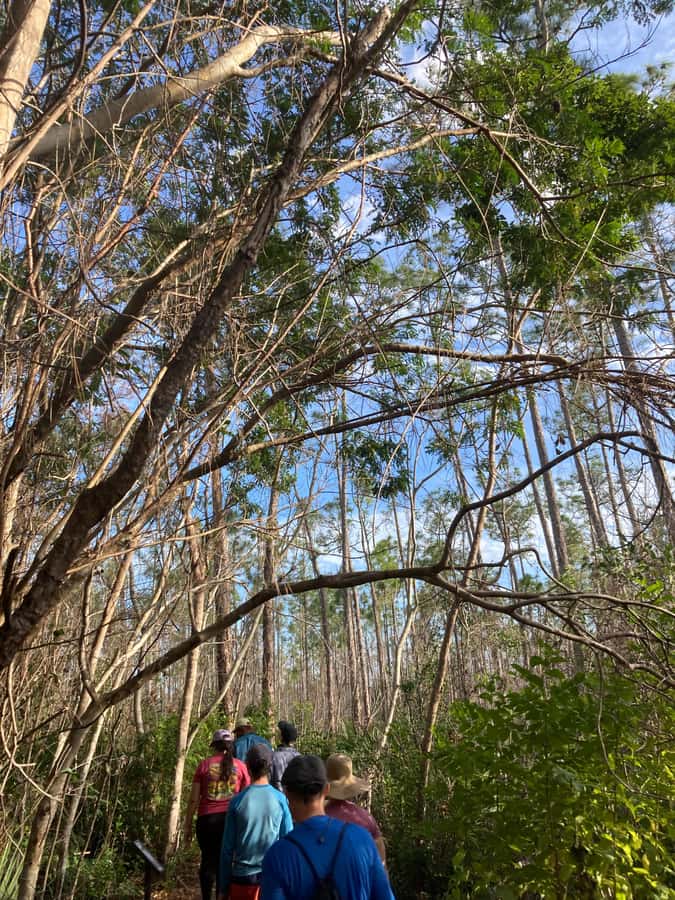 Miami: Everglades National Park Hiking and Kayaking Day Trip - Practical preparation for a nine-hour park day