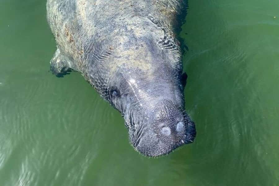 Miami: Everglades National Park Hiking and Kayaking Day Trip - Starting at Ernest Coe Visitor Center