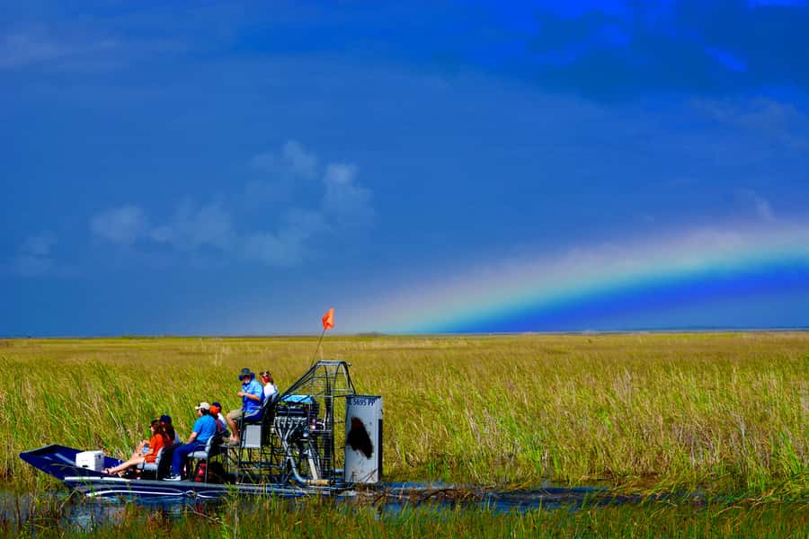 Miami: Everglades River of Grass Small Airboat Wildlife Tour - Why this small Everglades airboat ride feels different